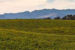 California Mountains